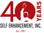 SEI Logo