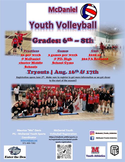 Volleyball flyer