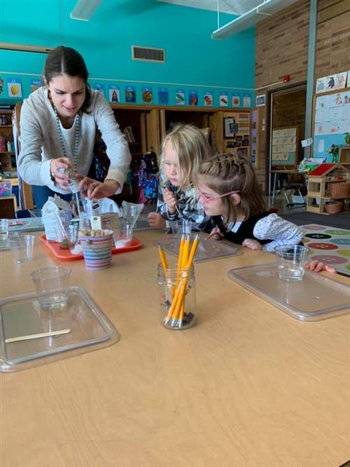 Teacher Lauren 