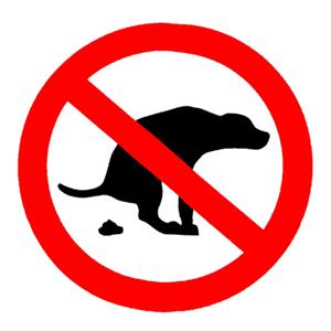 no pooping