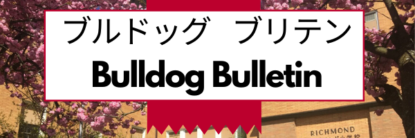 Bulldog Bulletin Header