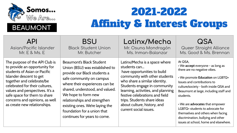BMS Affinity Groups