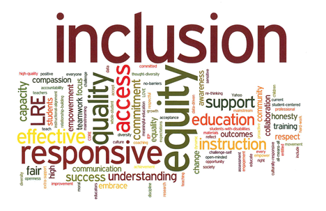 inclusion 
