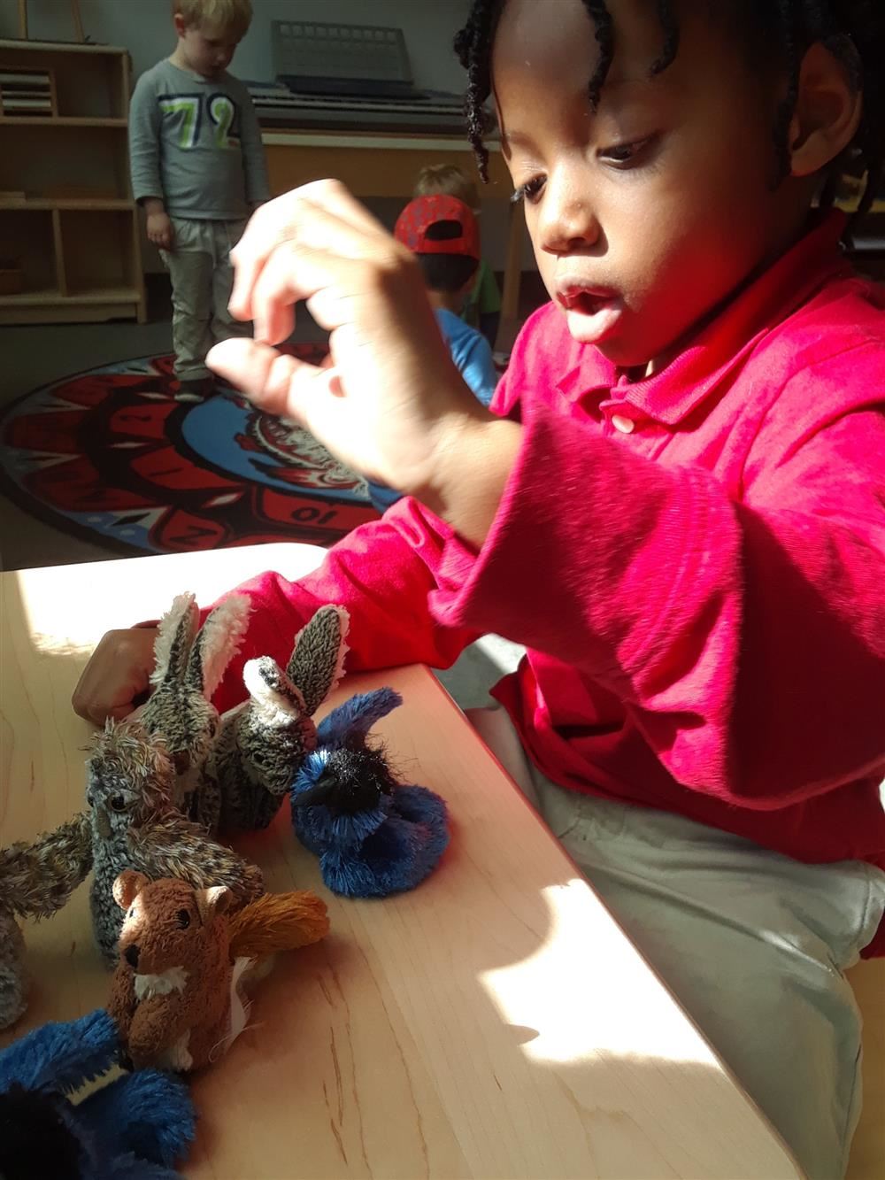 Native Montessori Student Native Montessori Student