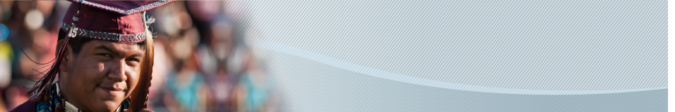 Indian Education banner Indian Education banner