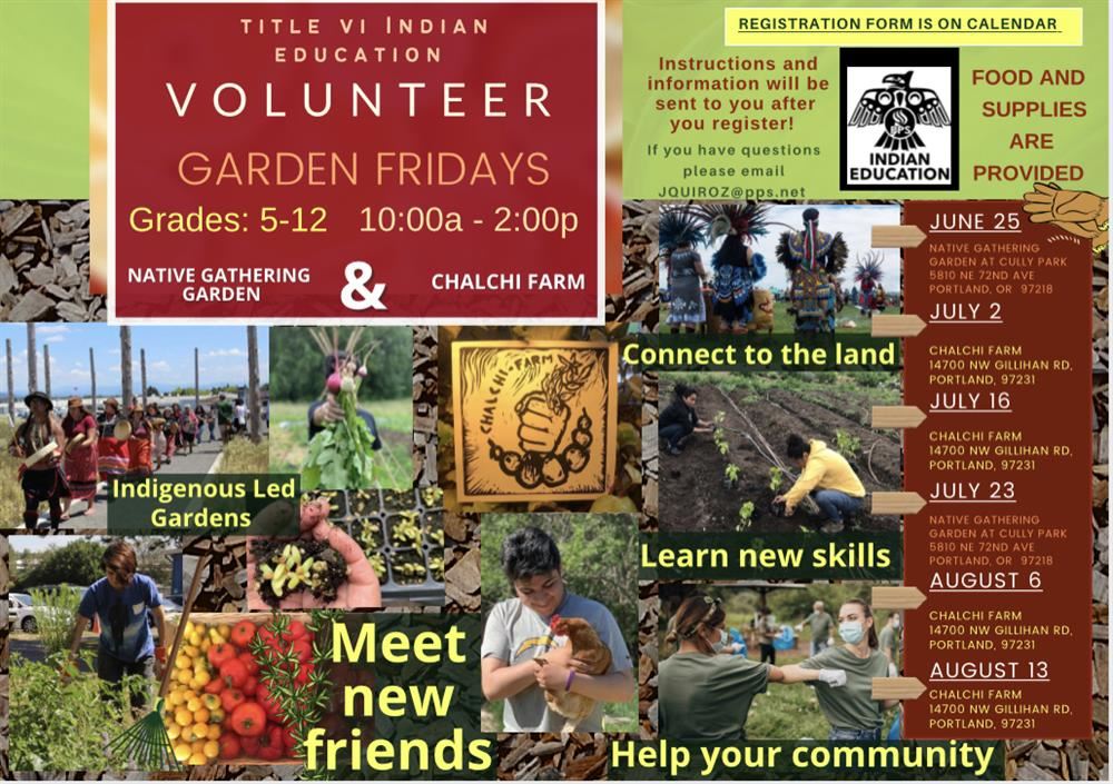 Volunteer Fridays 