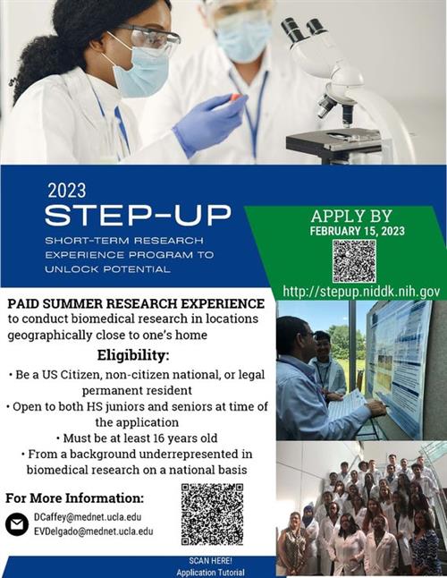 Step-up research program flier