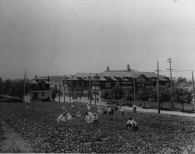 Glencoe Garden 
