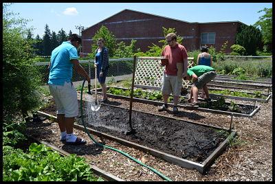Watering Plants 