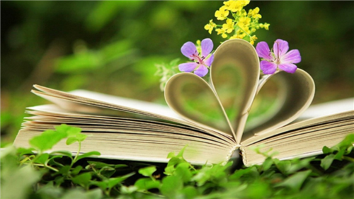 Lovely Book 