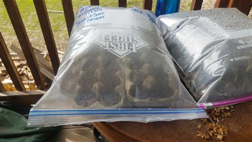 Blow Up Bag 