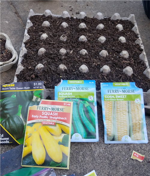 Plant the Seeds 