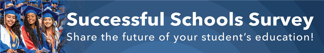 Successful Schools Survey