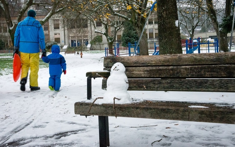Snow picture