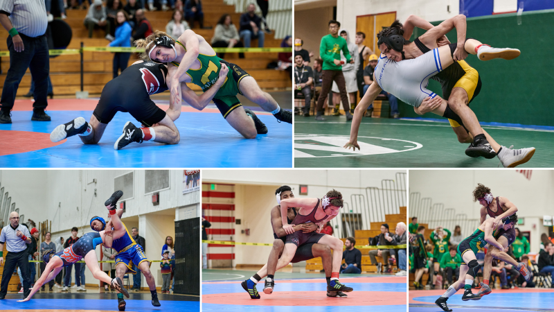  Wrestling collage