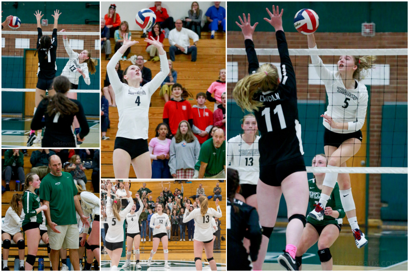 Wilson volleyball collage