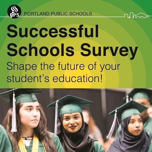 Successful Schools Survey image