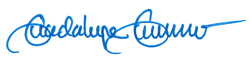 Superintendent Guadalupe Guerrero's Signature