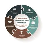 Substance Use Services Diagram