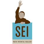 SEI Logo