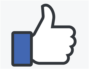 Facebook like icon 