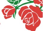 rose