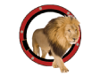 marysville logo