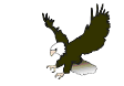 beh logo