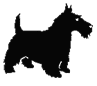 scott logo