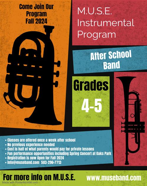 MUSE instrument program information