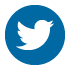 Twitter Icon 