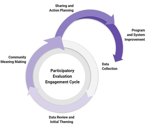 Developmental Evaluation Cycle