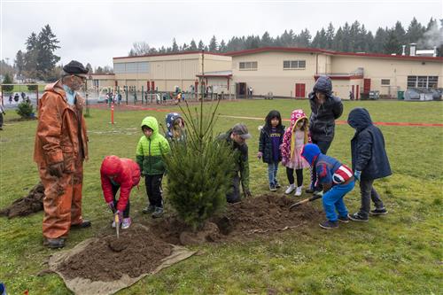 students planting tree outside their school