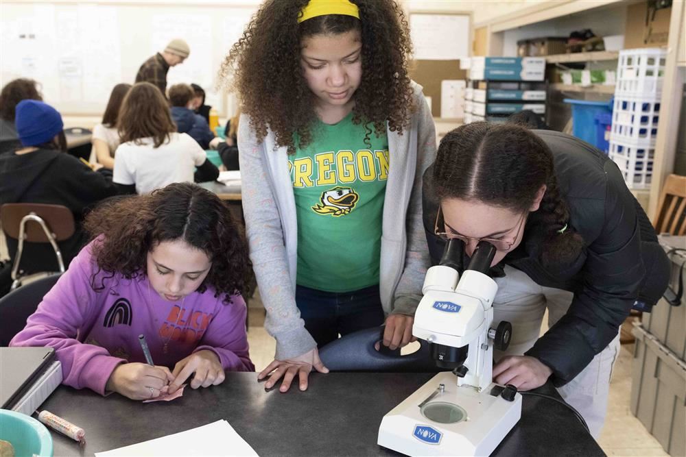Students looking into microscope Students looking into microscope