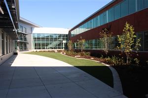 McDaniel Courtyard