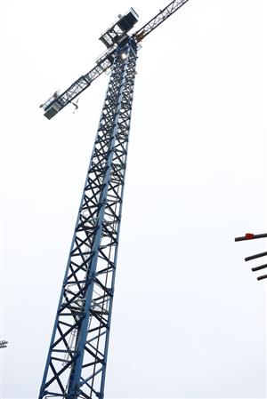 Crane on the MPG site