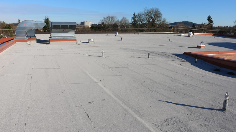 Beverly Cleary Fernwood Roof