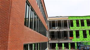 grant new windows 