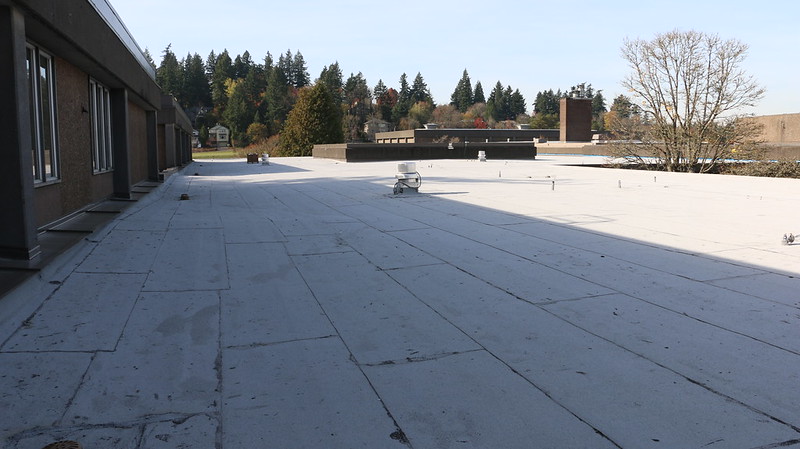 Jackson Roof