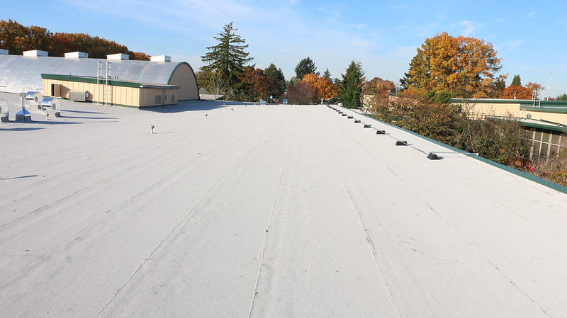 Kelly Roof