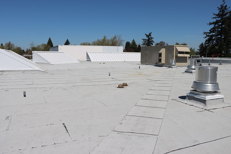 Harrison Park Roof