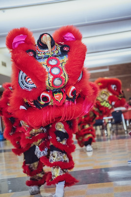 Lunar New Year Lunar New Year