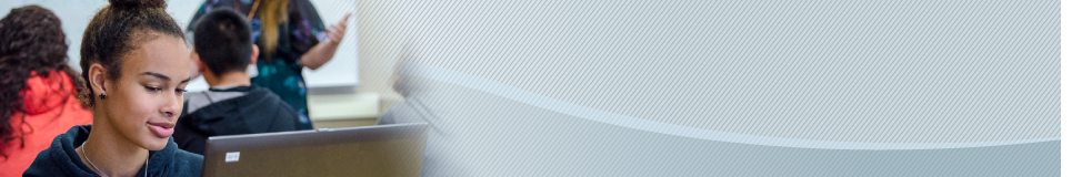 Ombudsman banner Ombudsman banner