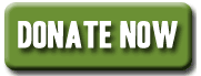 Green Donate Button 