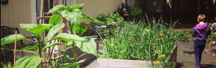 sitton garden 