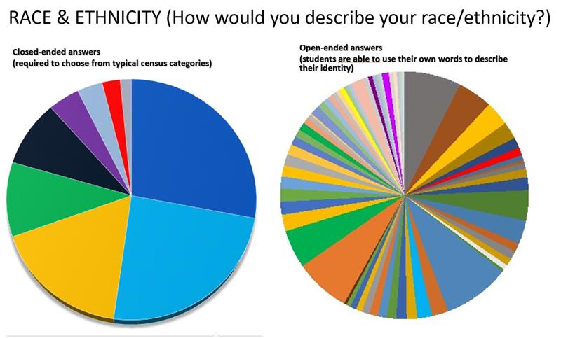 Race & Ethnicity Pie Charts (Closed & Open)